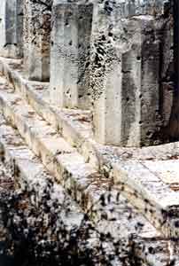 Fotografia: Centro del Mediterraneo: Siracusa: colonne doriche con fori provocati dai litodomi; Fotografia: Francesco Saverio ALESSIO, © copyright 1999  